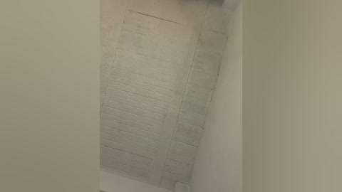 aly_golden_ free recording from 2026-03-01 00:50:00