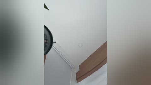 angelinateller free recording from 2026-03-01 00:17:00