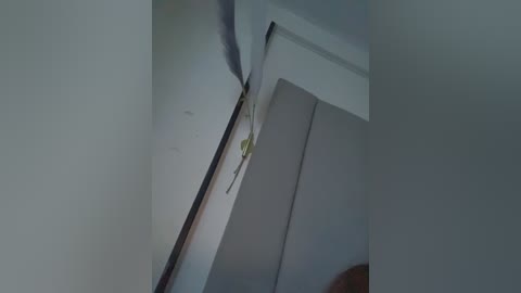 baby__otaku free recording from 