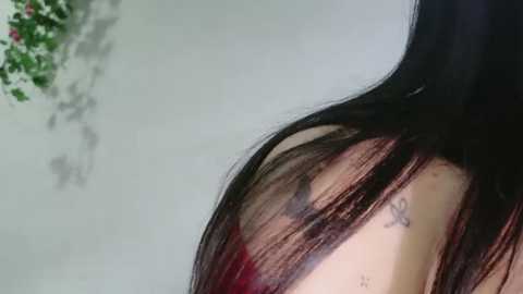 elaruil69 free recording from 2026-03-01 00:17:00