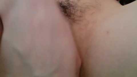 irohani_usagi free recording from 2026-03-01 00:17:00