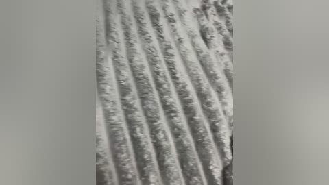 ketadeksa free recording from 2026-03-01 00:50:00