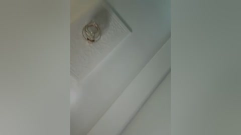 noha_sexy free recording from 2026-03-01 00:50:00