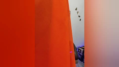 seema_127 free recording from 2026-03-01 00:17:00