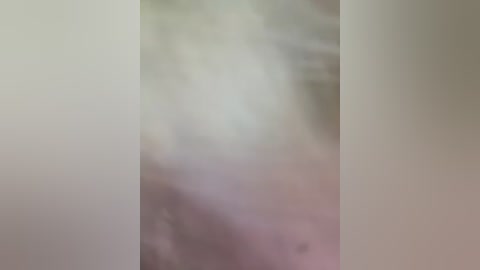 south_carolina free recording from 2026-03-01 00:17:00