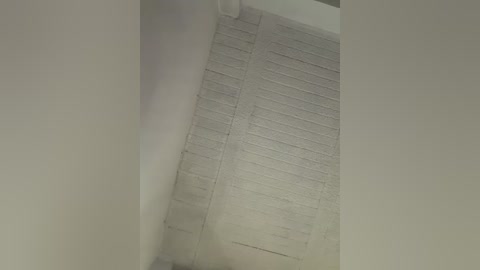 aly_golden_ free recording from 2026-03-02 00:39:00