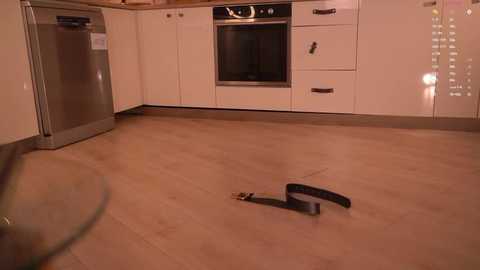 audreybarren free recording from 2026-03-02 00:33:00