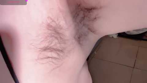 donghuangtaiyi___ free recording from 2026-03-02 00:39:00