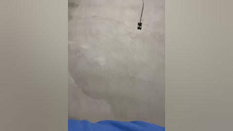 flavia337 free recording from 2026-03-02 00:01:00