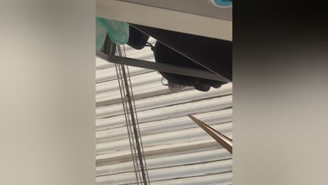 imlindapink free recording from 2026-03-02 00:01:00