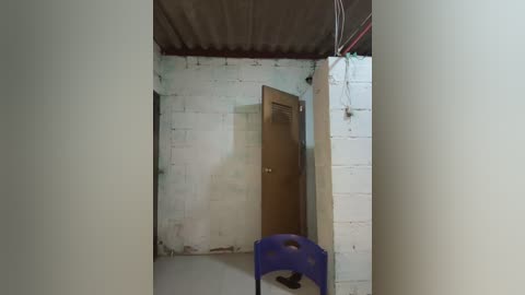 indialatin free recording from 2026-03-02 00:33:00