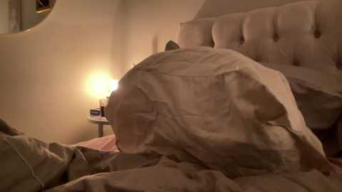 paulinaalatalo free recording from 2026-03-02 00:39:00