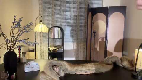 xiaowan_x free recording from 2026-03-02 00:39:00