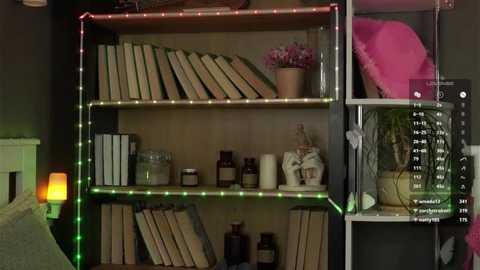 darylbarks free recording from 2026-03-03 00:22:00