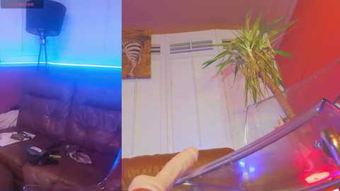 freyafucksfans free recording from 2026-03-03 00:35:00