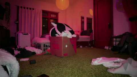 gennajames free recording from 2026-03-03 00:22:00