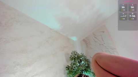 lissababe1 free recording from 2026-03-03 00:22:00