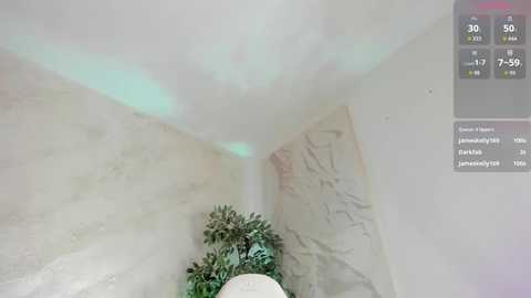 lissababe1 free recording from 2026-03-03 00:22:00