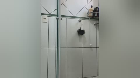 nathrickkk free recording from 2026-03-03 00:22:00