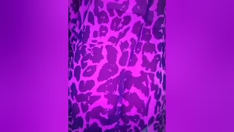 _arabica_ free recording from 2026-03-04 00:00:00