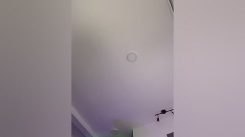 _nobara__ free recording from 2026-03-04 00:22:00