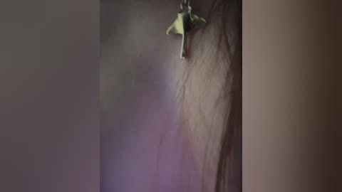 anita_vega free recording from 2026-03-04 00:22:00