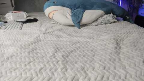 diamond_d_ free recording from 2026-03-04 00:36:00