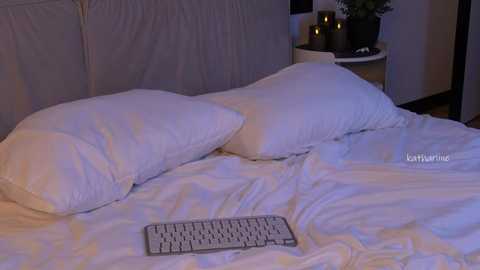 Video of a minimalist bedroom with white bedding, two pillows, and a white keyboard placed centrally on the bed. A small potted plant with green leaves sits on a nightstand to the right. The room is dimly lit, creating a cozy ambiance.