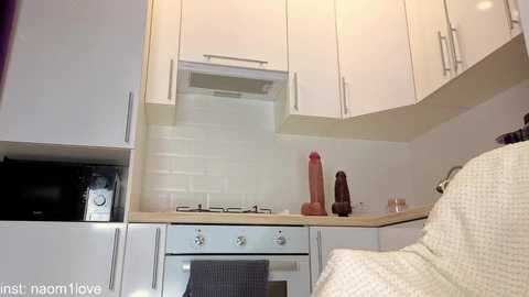 Video of a small, modern kitchen with white cabinets, stainless steel appliances, a microwave, and a wooden countertop. A large, realistic brown dildo sits on the counter, with a beige towel draped over the oven handle.