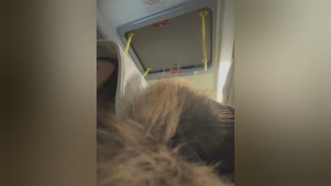 sophie_avory free recording from 2026-03-04 00:00:00