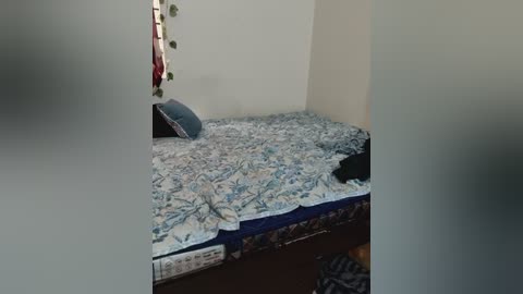 Video of a small, dimly lit room with a twin bed covered in a floral-patterned blue quilt. The room's walls are plain white, and a plant hangs from a window ledge, adding a touch of greenery.