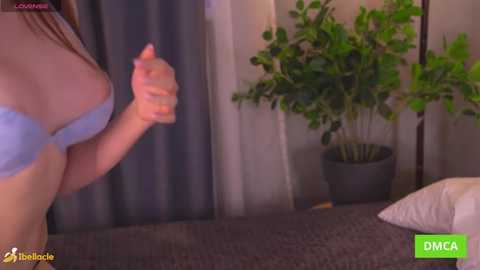 bellacle free recording from 2026-03-05 01:16:00