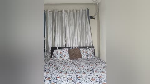 bold_cat free recording from 2026-03-05 00:10:00