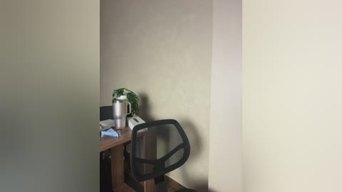 A video of a minimalist office corner featuring a wooden desk, a metallic water bottle, a green potted plant, and a black office chair against beige walls.