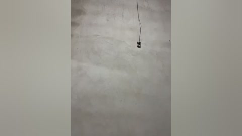 flavia337 free recording from 2026-03-05 00:05:00