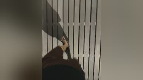 joel852 free recording from 2026-03-05 00:51:00