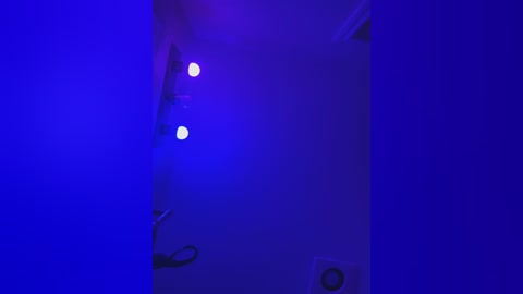 jojosbizarrelyf free recording from 2026-03-05 01:16:00