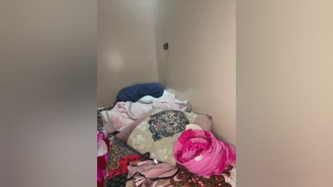 Video of a cluttered, narrow hallway with a jumble of colorful, patterned fabrics, including pink, blue, and beige textiles, piled against a plain, beige wall.