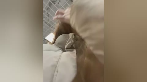 leiamood free recording from 2026-03-05 00:51:00