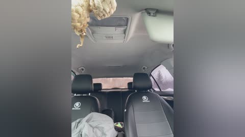 merlindave free recording from 2026-03-05 00:43:00