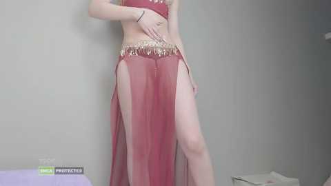 Video of a pale-skinned woman in a sheer, red belly dance outfit with gold trim, standing against a plain grey wall. Her midriff is exposed, revealing a toned abdomen. The background is minimalistic, featuring a white box in the lower left corner.