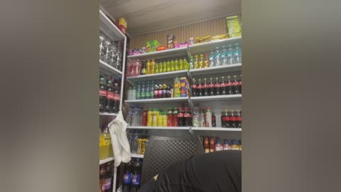 sara_fun free recording from 2026-03-05 00:10:00