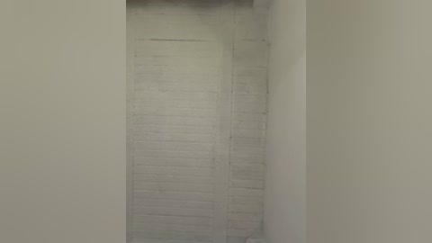 aly_golden_ free recording from 2026-03-06 00:41:00