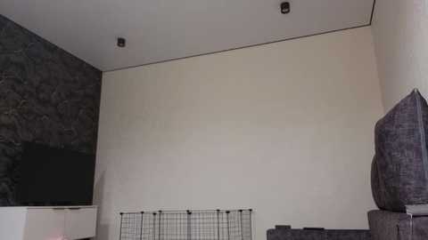 Video of a modern living room with beige walls, dark gray textured wall, flat-screen TV on the left, black wire mesh screen on the floor, and gray couches.