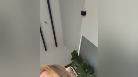 curchez_ free recording from 2026-03-06 01:43:00