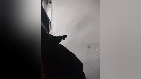 Video of a black figure silhouetted against a white wall, standing with arms outstretched, creating a dramatic, haunting atmosphere. The background is blurred, emphasizing the figure's stark outline.