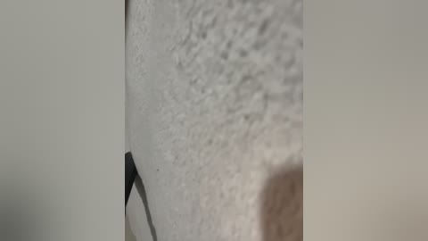 flavia337 free recording from 2026-03-06 00:41:00