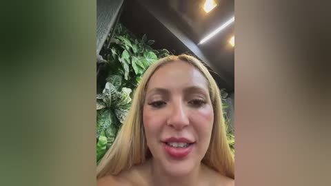 melisboa free recording from 2026-03-06 00:41:00