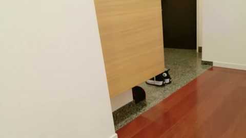 naachan_ free recording from 2026-03-06 00:00:00