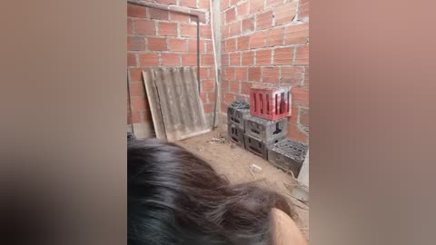 Media: Video of a brick-walled, dimly lit room with a person's dark hair visible in the foreground. The room contains a wooden plank, a stack of red and black bricks, and a metal pipe, suggesting a makeshift construction site or workshop.